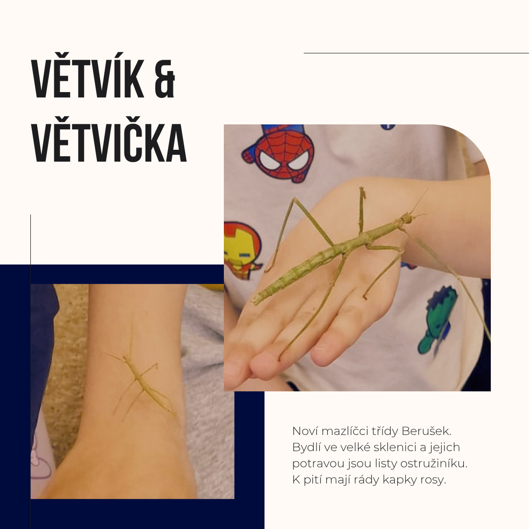 Třídní mazlíčci - strašilky 