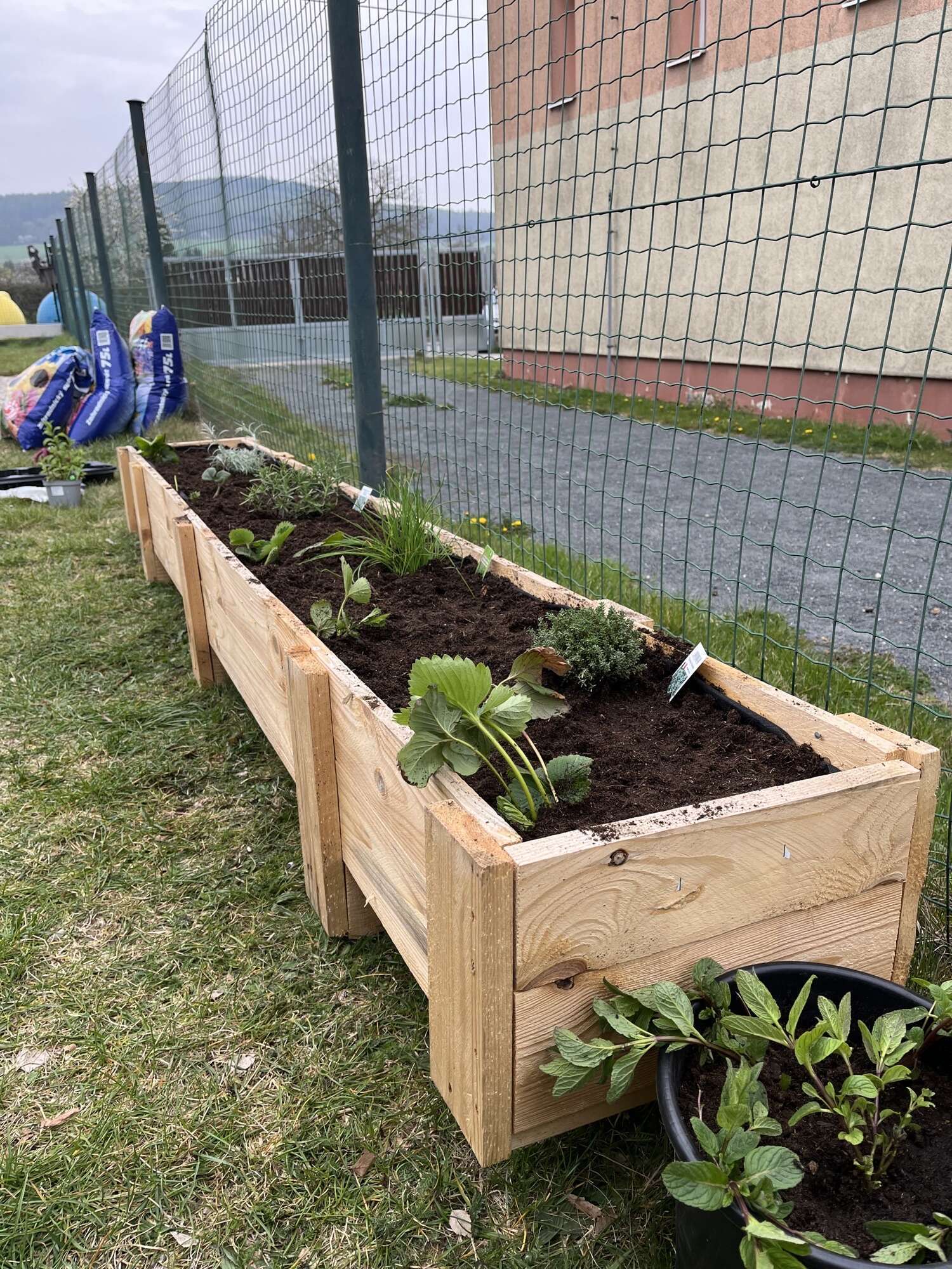 Projekt Bylinkový záhon 