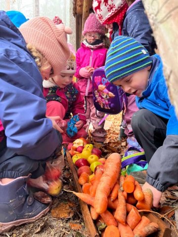 Vánoční krmení lesní zvěře