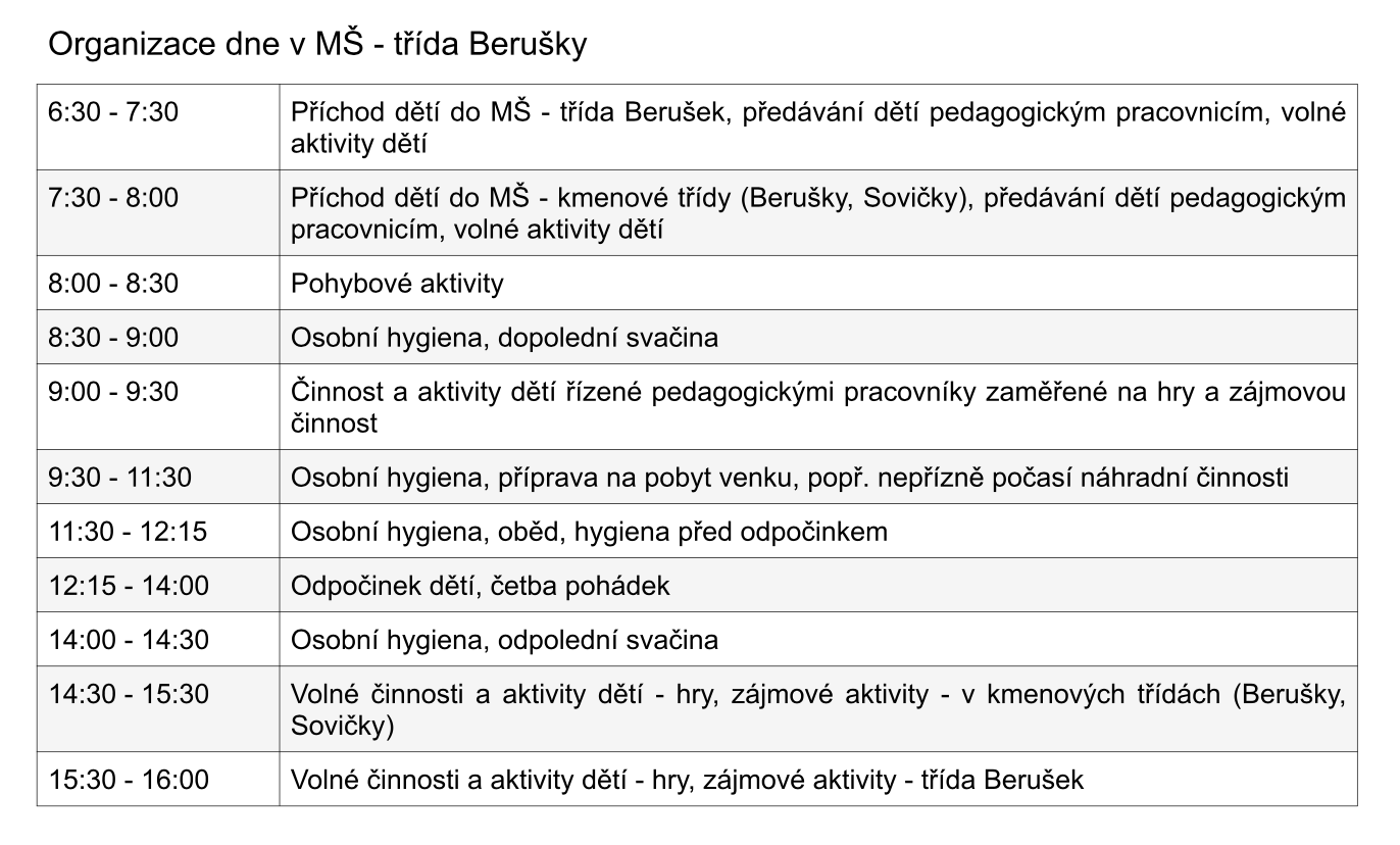 Organizace dne v mateřské škole